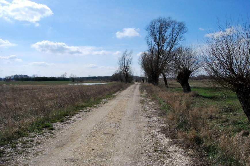 LOKALIZACJA - 7. Wierzby, droga szutrowa Nr punktu Start: 50.413919,20.713924, koniec: 50.409803,20.