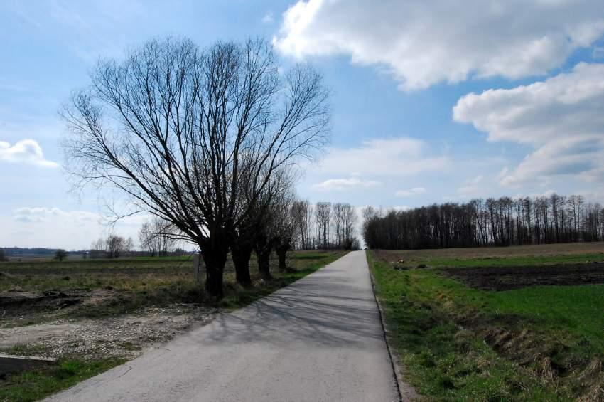 LOKALIZACJA - 8. Wierzby, Hołudza Nr punktu Start:50.418636,20.718765, koniec: 50.420273,20.