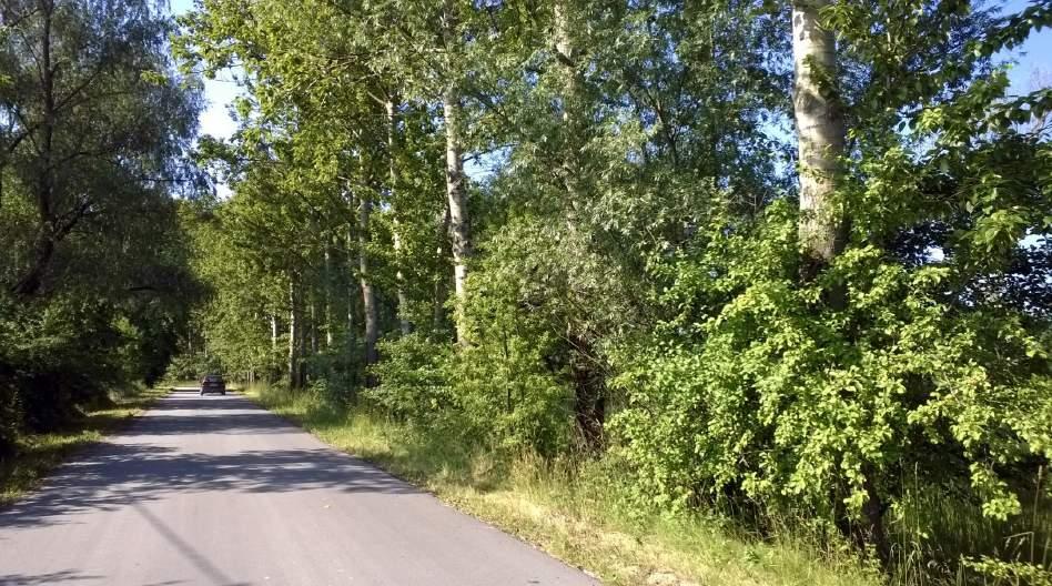 LOKALIZACJA 10. Wiślica/Zielonki Nr punktu Start: 50.346446,20.670752, koniec: 50.34253,20.