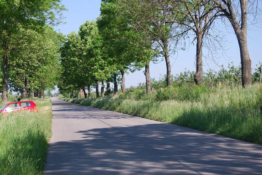 LOKALIZACJA 11. Koniecmosty w stronę Jurkowa Nr punktu Start: 50.342027, 20.656624, koniec: 50.349445, 20.