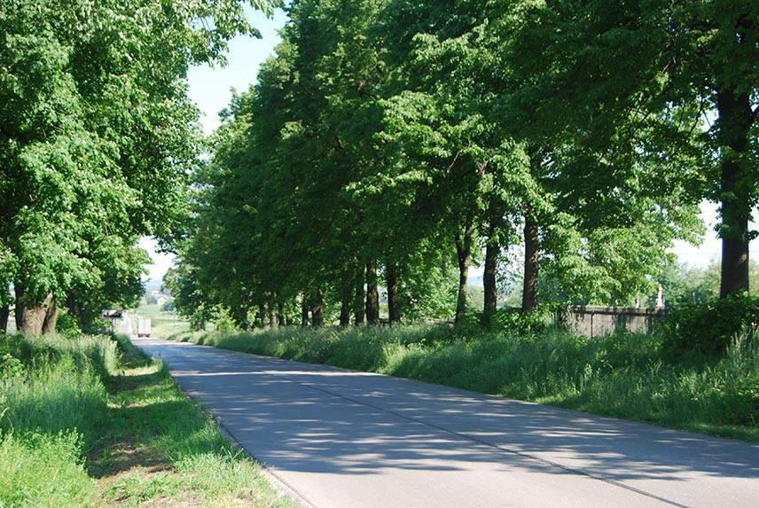LOKALIZACJA 12. Jurków wzdłuż dłuższego boku cmentarza Nr punktu Start: 50.356811, 20.636131, koniec: 50.358505, 20.