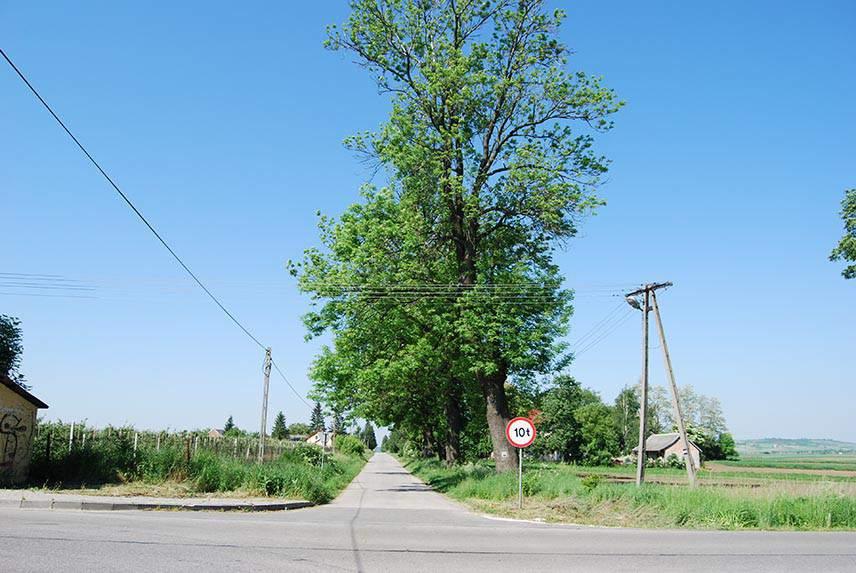 LOKALIZACJA 13. Jurków obok cmentarza Nr punktu Start: 50.356660, 20.636148, koniec: 50.