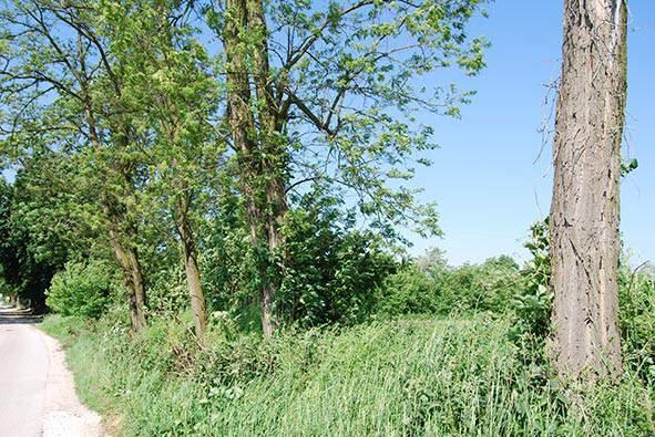 LOKALIZACJA 14. Jurków wzdłuż krótszego boku cmentarza Nr punktu Start: 50.356729, 20.636475, koniec: 50.357701, 20.