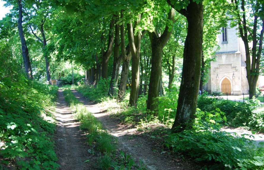 LOKALIZACJA 17. Jurków aleja historyczna przy kościele Nr punktu Start:50.358371, 20.641797, koniec: 50.358897, 20.