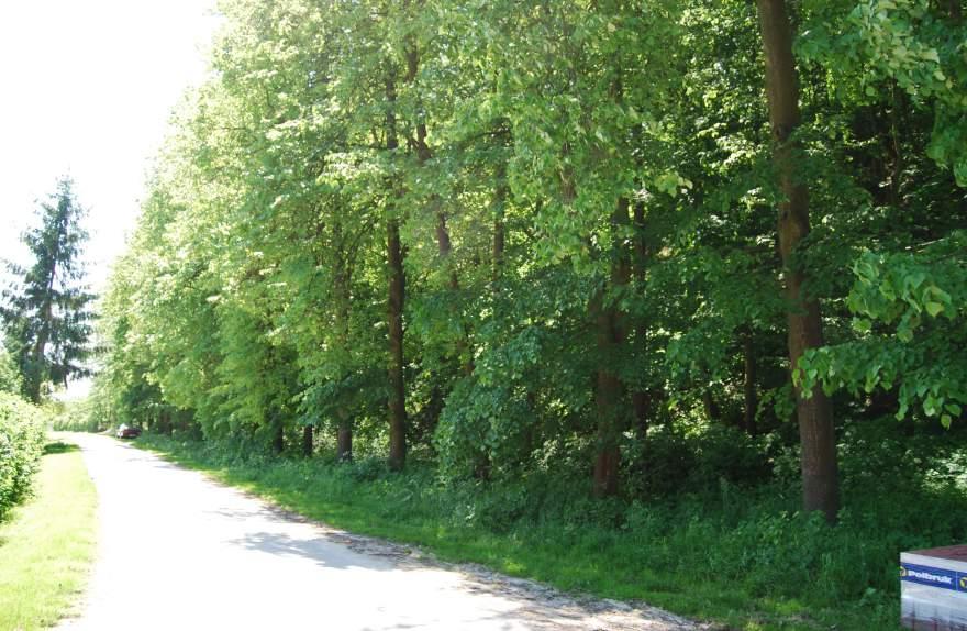 LOKALIZACJA 18. Jurków przy Nidzie Nr punktu Start:50.357153, 20.644307, koniec:50.357824, 20.