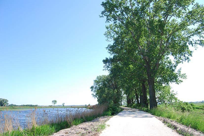 LOKALIZACJA 19. Górki obok stawu Czaplińskiego (na google jest pusty) Nr punktu Start: 50.340626, 20.726456, koniec: 50.338175, 20.