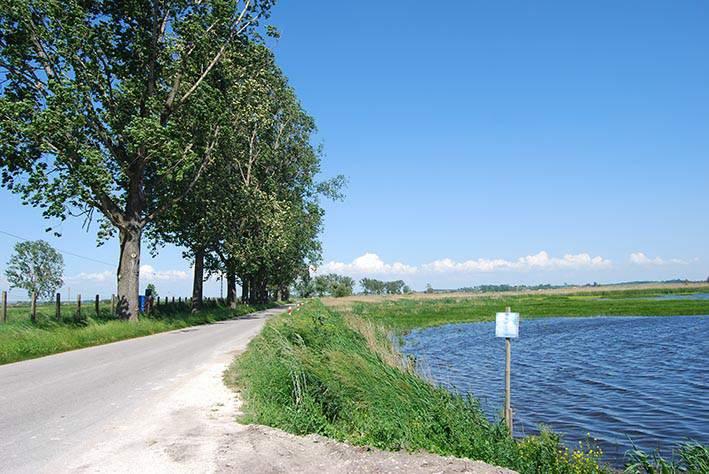 LOKALIZACJA 20. Górki między stawami Marianem a Hetmanem Nr punktu Start: 50.340626, 20.726456, koniec: 50.341154, 20.