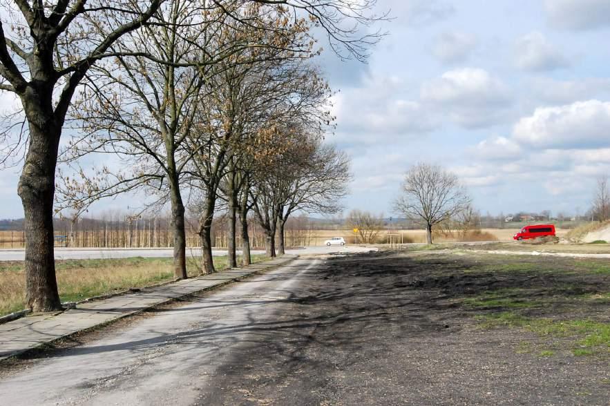 LOKALIZACJA - 1. Przy cmentarzy, Kobylniki Nr punktu Odległość drzew od osi Odległość drzew od krawędzi Gatunek - liczba drzew Występowanie ciekawych Start: 50.