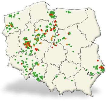 Zaatakowane rośliny bardzo łatwo jest wyrwać z gleby, mają też pożółkle liści, co świadczy o ich niedożywieniu. Porażona roślina wytwarza dużo korzeni bocznych, przez co tworzy się tzw.