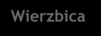 Podobszar rewitalizacji Wierzbica- Osiedle Cele rewitalizacji Cel strategiczny: Przekształcona, odnowiona i estetyczna przestrzeń centrum Wierzbica Osiedle tworzy warunki dla rozwoju społeczno