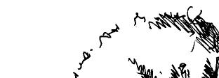 Wstaw w kratki poni ej þ przy prawid³owych odpowiedziach i ý przy z³ych. S A/ Sieæ siê podar³a (wiersz ). Jezus powiedzia³ Andrzejowi, by przyniós³ ryby (wiersz 0).