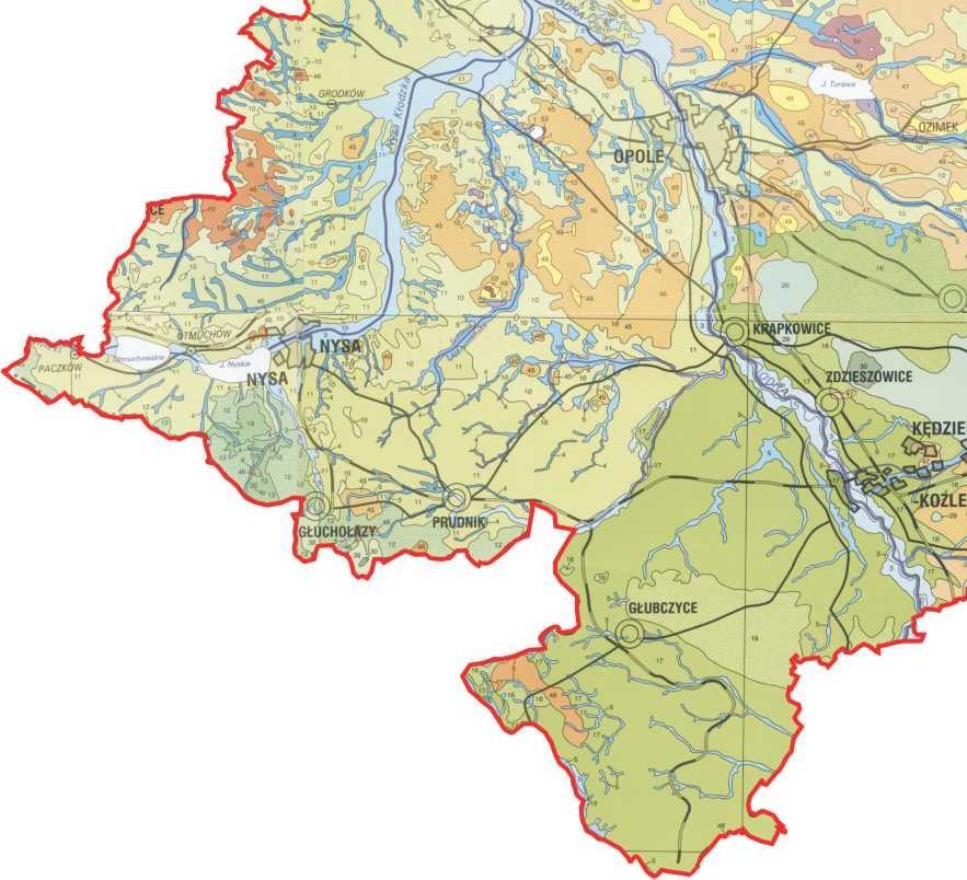 Rysunek 15 Mapa z poencjalną roślinnością nauralną Źródło: Charakerysyka, diagnoza i waloryzacja przesrzeni przyrodniczej wojewódzwa opolskiego K. Badora, K. Badora, G. Hebda, A.