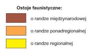 Rysunek 17 Osoje fauny Srona 121 z 217 Źródło: Charakerysyka, diagnoza i waloryzacja przesrzeni