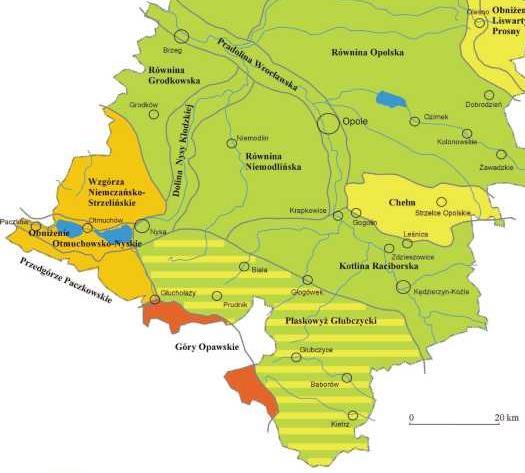 Rysunek 11 Mapa podziału fizyczno geograficznego na le głównych ypów rzeźby Źródło: "Charakerysyka, diagnoza i waloryzacja przesrzeni