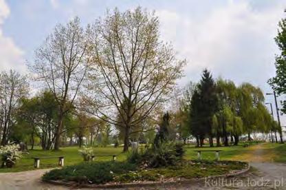 Park dworski w Cielądzu Park w Cielądzu jest pozostałością dawnego parku pałacowego urządzonego w drugiej pokowie XIX w. Jego powstanie można wiązać z nabyciem włości cielądzkich przez ród Wolffów.