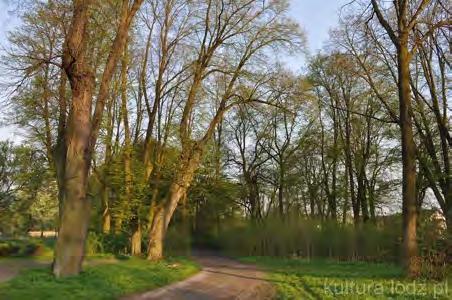 "Grabinka" to drugi na terenie gminy Puszcza Mariańska obszar objęty projektem Natura 2000 o powierzchni około 46 ha.