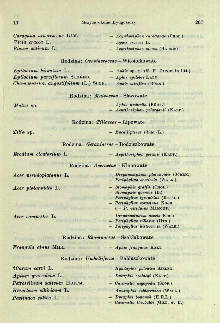 11 Mszyce okolic Bydgoszczy 267 Caragana arborescens L a m. Vicia cracca L. Pisum sativum L. Aeyrthosiphon caraganae (Ch o l.) Aphis craccae L.