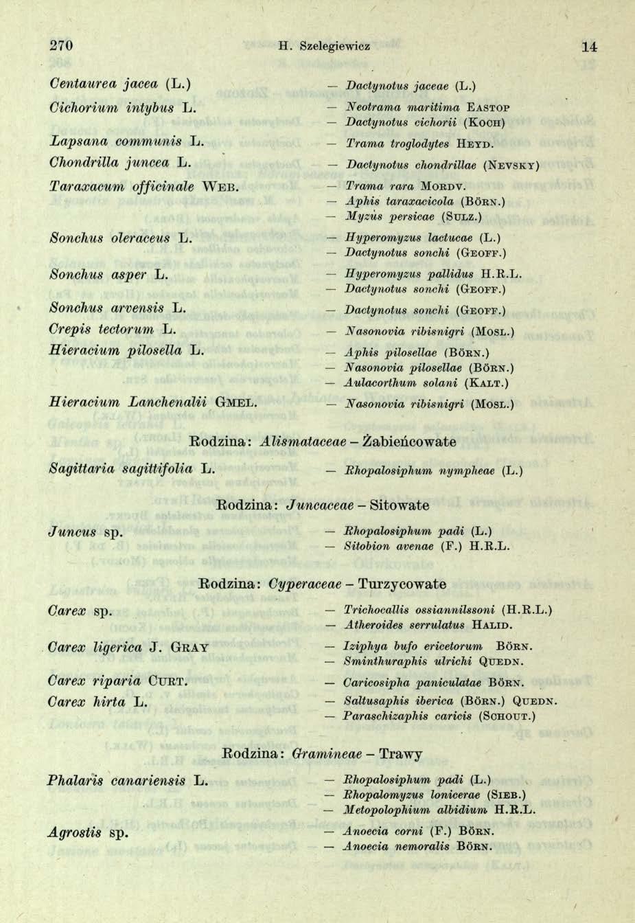 2 7 0 H. Szelegiewicz Centa urea jacea (L.) Cichorium intybus L. Lapsana communis L. Chondrilla juncea L. Taraxacum officinale W e b. Sonchus oleraceus L. Sonchus asper L. Sonchus arvensis L.