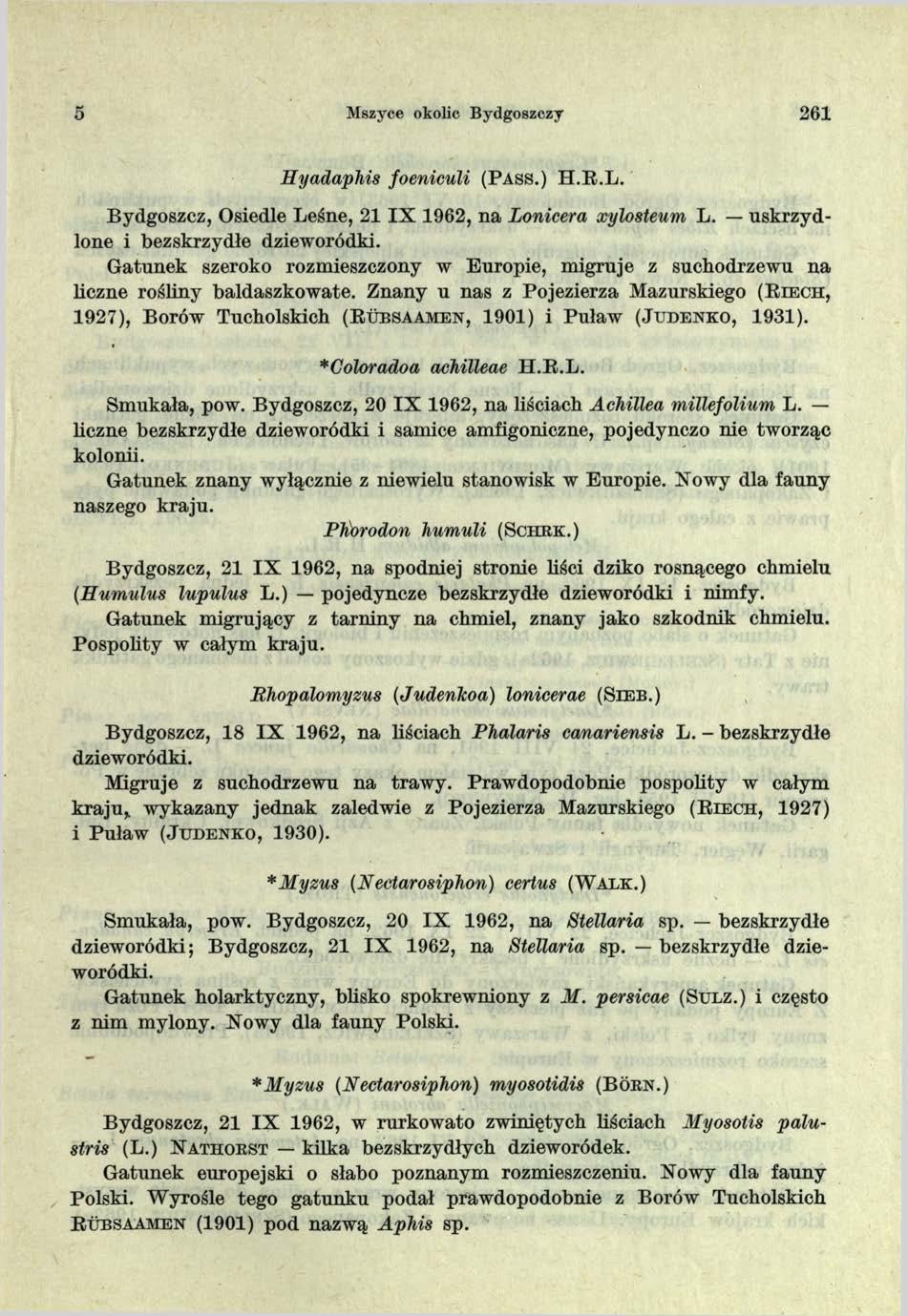 5 Mszyce okolic Bydgoszczy 261 Hyadaphis foeniculi ( P a s s.) H.R.L. Bydgoszcz, Osiedle Leśne, 2 1 IX 1962, na Lonicera xylosteum L. uskrzydlone i bezskrzydłe dzieworódki.