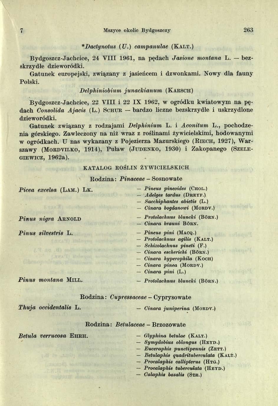 \ 7 Mszyce okolic Bydgoszczy 263 *Dactynotus (U.) campanulae ( K a l t.) Bydgoszcz-Jachcice, 24 V III 1961, na pędach Jasione montana L. bezskrzydłe dzieworódki.