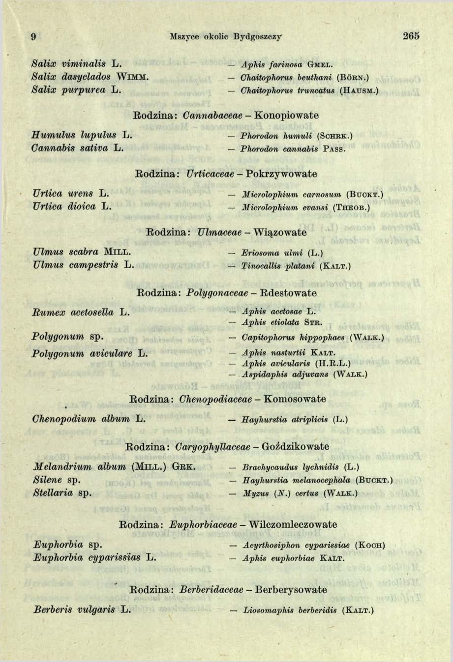 9 Mszyce okolic Bydgoszczy 26 5 S a lix v im in a lis L. Aphis farinosa G m el. S a lix dasy d a d o s W im m. Ghaitophorus beuthani (B órn.) S a lix p u rp u re a L. Chaitophorus truncatus (H ausm.