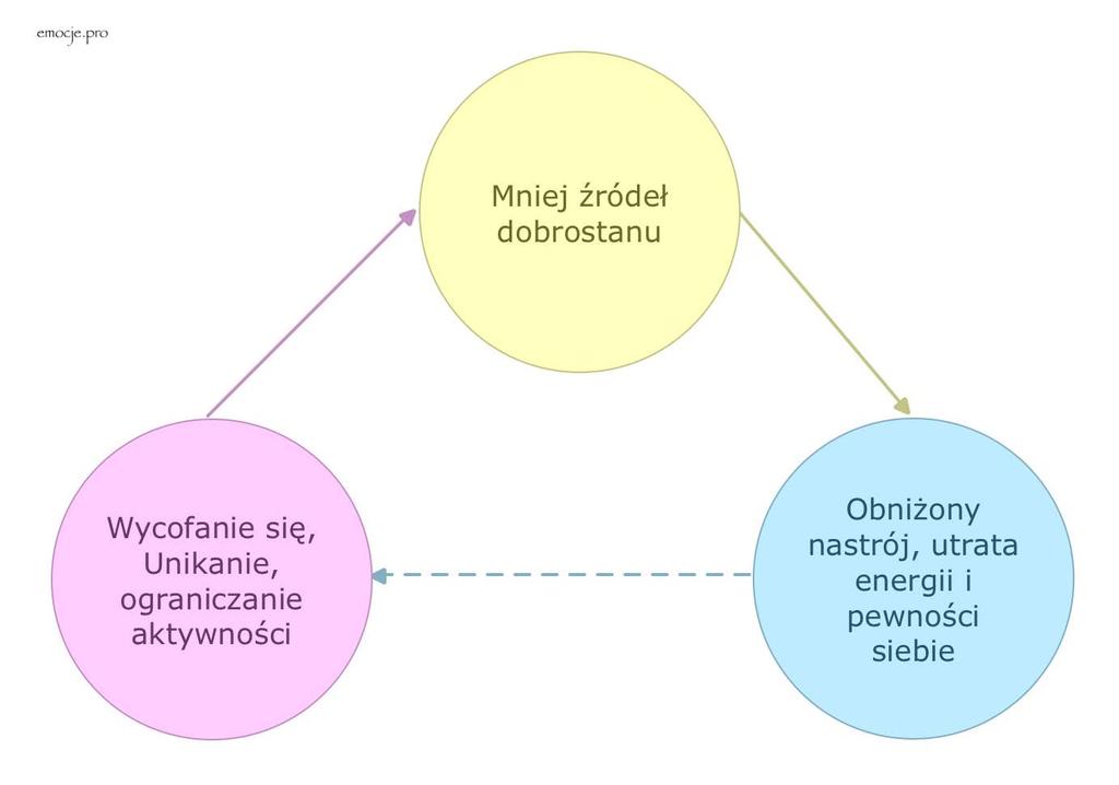 Zrozumienie depresji 4 Co zwykle robimy, kiedy czujemy się przygnębieni - Konsekwencje Wpływ na źródła dobrostanu Kiedy ponownie przyjrzymy się diagramowi źródeł dobrostanu możemy zadać sobie