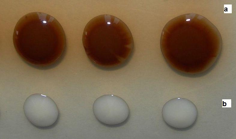 Nr 3-4 Patogenność grzybów z rodzaju Cryptococcus 225 from factors that act repressively on laccase activity such as glucose and the temperature (45).