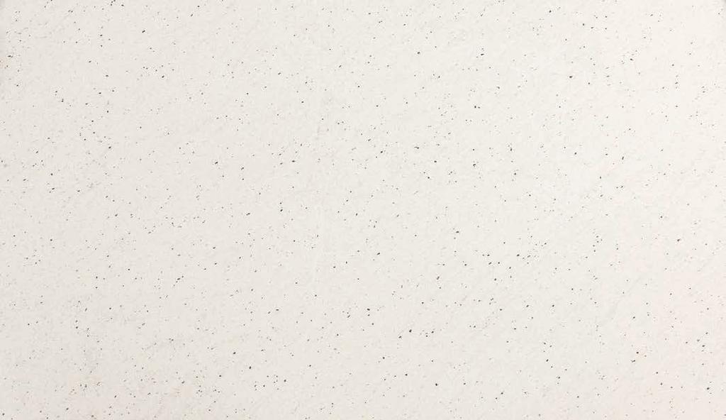 PERFECT WHITE GRANIT