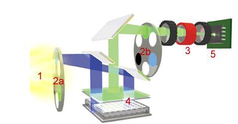 Schemat aparatu qpcr 1. halogen tungsten lamp 2b. emission filters 3.