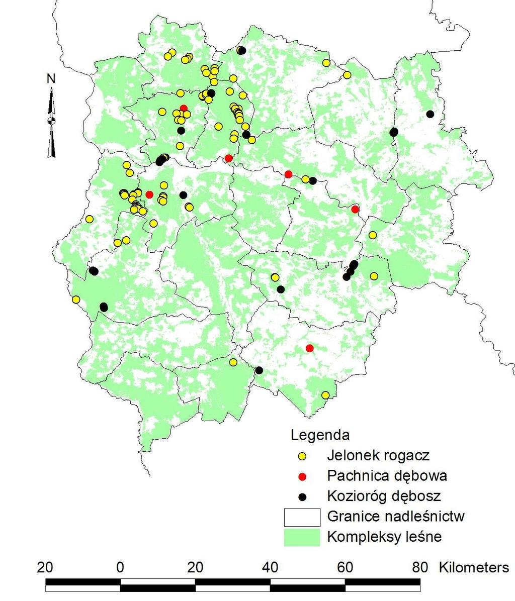 W wyniku prowadzonych prac inwentaryzacyjnych w roku 2007, na terenie RDLP Zielona Góra, zidentyfikowano 872 stanowiska zwierząt z Załącznika II Dyrektywy Siedliskowej.