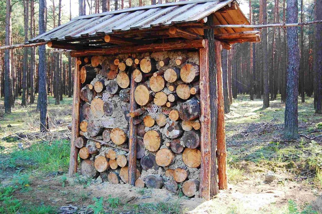 24 Aktywna ochrona ścianki dla owadów