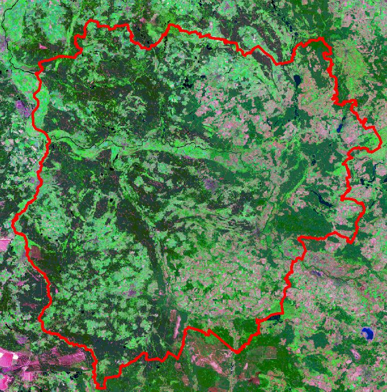 Kompleksy leśne RDLP Zielona Góra Puszcza Rzepińska Bory