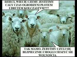 potencjalnego wsparcia Międzynarodowego Funduszu wrealu24.