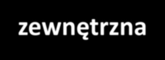 motywacja wewnętrzna