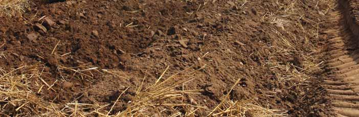 ś rodki poprawiają ce wł a ś ciwoś ci gleby AGROCONSULT Agriker Terra 18% kwasy fulwowe, 18% kwasy huminowe TEAM ROL OrCal (doglebowo i pogłównie) 35% CaO 35% subst.