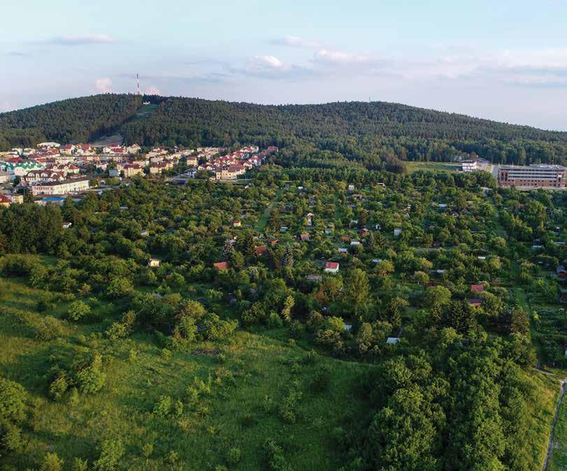 NR 66 / czerwiec / 2018 Magazyn Bezpłatny 4-6 aktualności 7 Rozmowa 9 fotogaleria 10 okiem posła Piszemy m.in. o Karcie Seniora, która zaczęła obowiązywać w Kielcach.