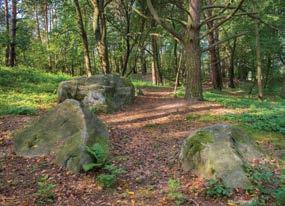 Nowiny, aquatic vegetation and peat bog marches. It is located in the Susiec municipality. Piekiełko, preserves clusters of 68 erratic boulders (flint sandstones), brought by the glacier.