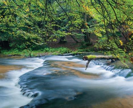 Nature reserves NATURE RESERVES Czartowe Pole, in its area there is a natural section of the Sopot stream along with picturesque waterfalls.