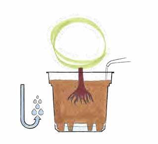 LINEA ELEMENTS przepływ woy poprzez eekt osozy wter iusion through ososis s eet iusion e l eu pr osose Wsseriusion urh