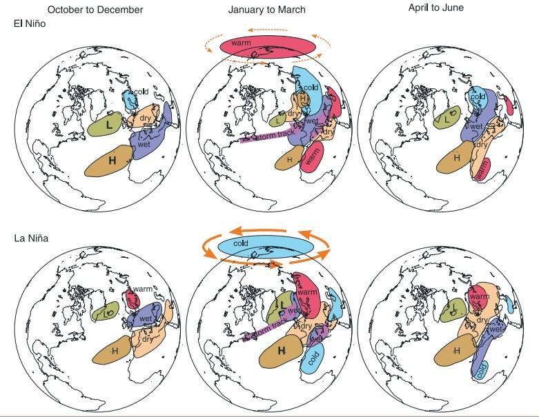 Wpływ ENSO na klimat Europy Wpływ ciepłej (El Niño) oraz zimnej (La Niña) fazy ENSO na klimat Europy od