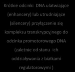 ułatwiające (enhancery) lub utrudniające (silencery)