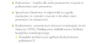 glukokortykoidy pojawiają się w odpowiedzi na bodźce środowiskowe i są