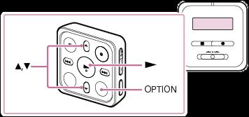 Korzystanie z menu OPTION Możesz wyświetlić menu OPTION poprzez naciśnięcie OPTION na pilocie. Pozycje dostępne w menu OPTION różnią się w zależności od wybranej funkcji dyktafonu.