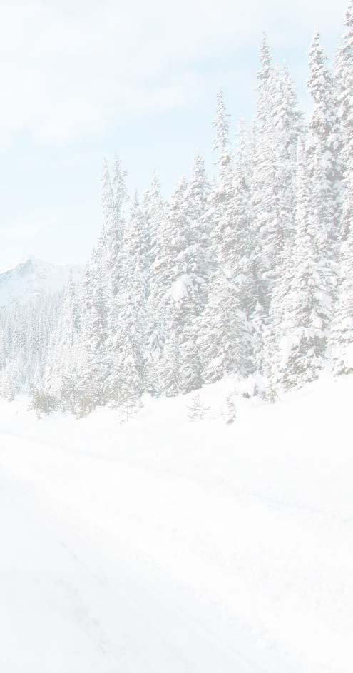 OPONA: Pirelli Carrier Winter,