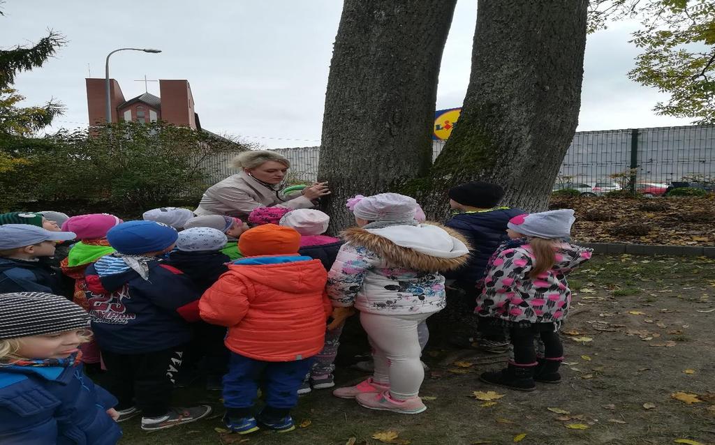 MUZYKA Z/OD DRZEW Dzieci słuchały drzew w ogrodzie przedszkolnym stetoskopem