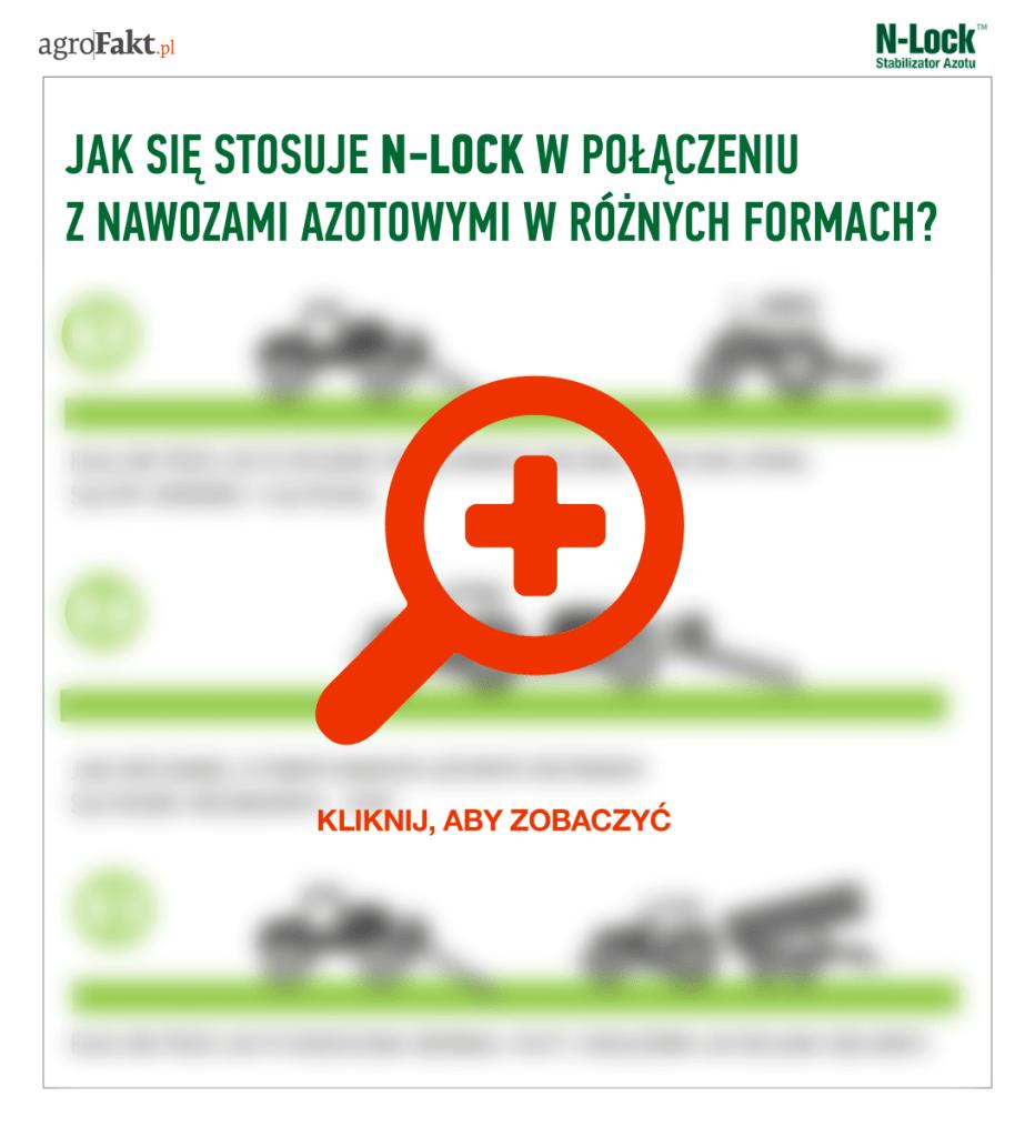 .pl https://www..pl Jak się stosuje N-Lock Stabilizator azotu?