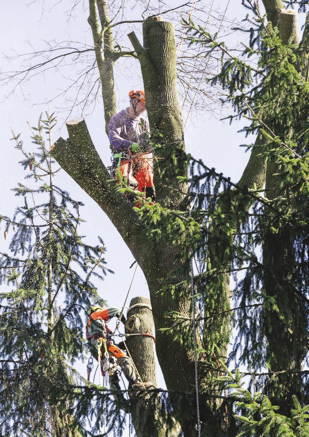 TH 050 Uprząż dla arborystów EN 813, EN 358 TH 150 01 PAS DO PRACY W PODPARCIU Z BOCZNYMI KLAMRAMI ZACZEPOWYMI KLAMRY