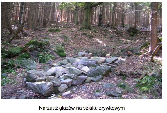) Sektor rolnictwo Dostosowanie sektora rolnictwa do prognozowanych zmian klimatycznych regionu/gminy powinno odbywać się poprzez: I.