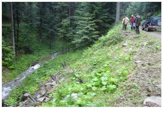 Zwiększenie retencji i utrzymanie potoków oraz związanej z nimi infrastruktury w dobrym stanie, 2010.) Ryc. 12. Stabilizacja osuwisk (wg.