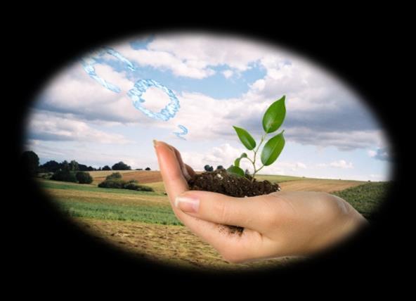 Rolnictwo pełniąc funkcję środowiskową wytwarza również efekty, które uznać należy